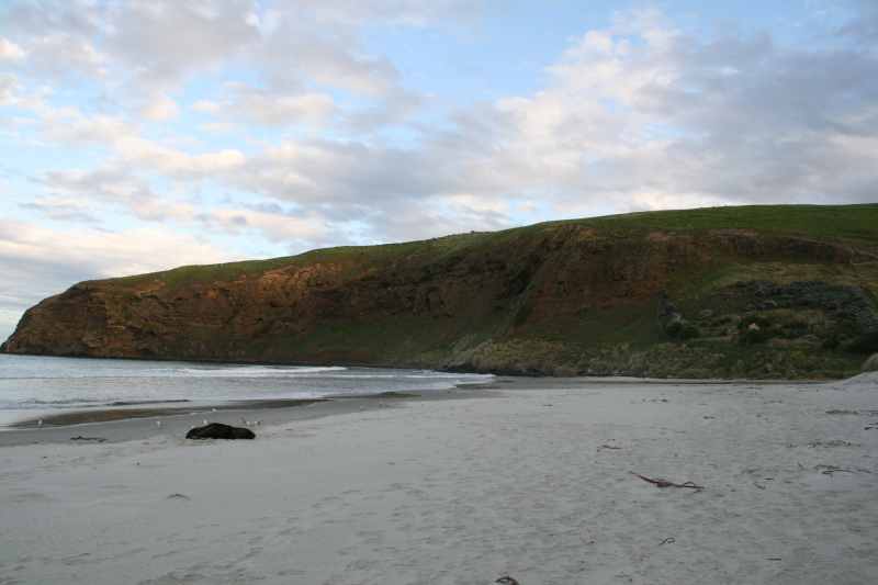 Nieuw-Zeeland 2011 - 2009